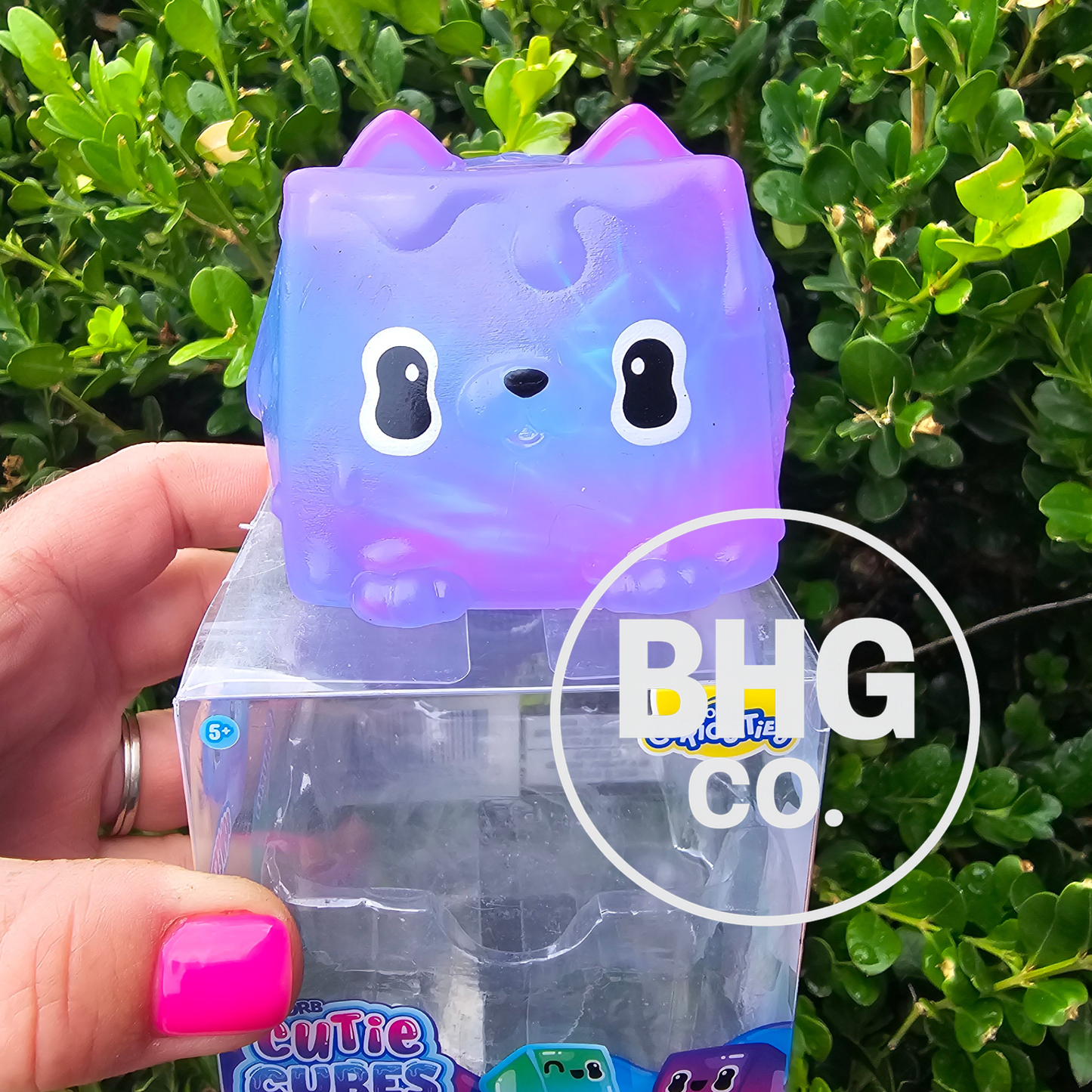 Orb Cuties Cube | Purple Dog