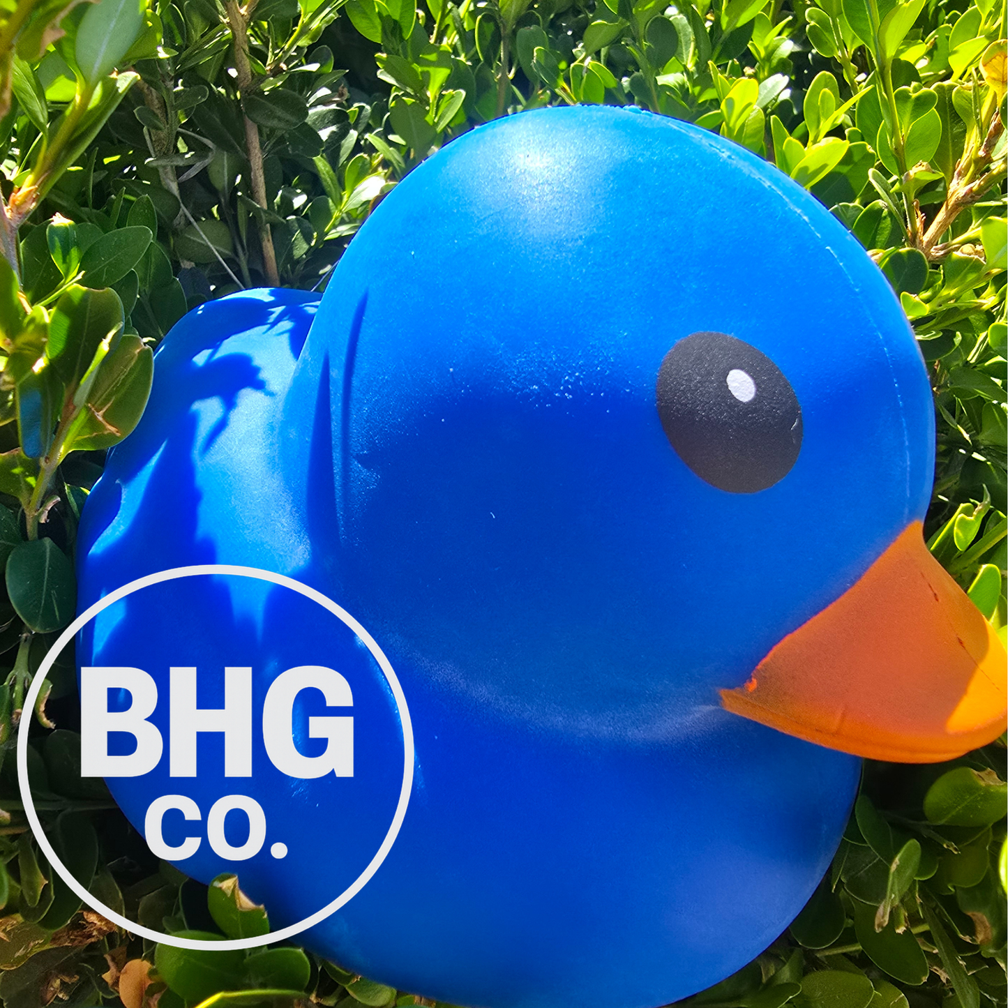 Sunny Days Squeezy Duck – Blue