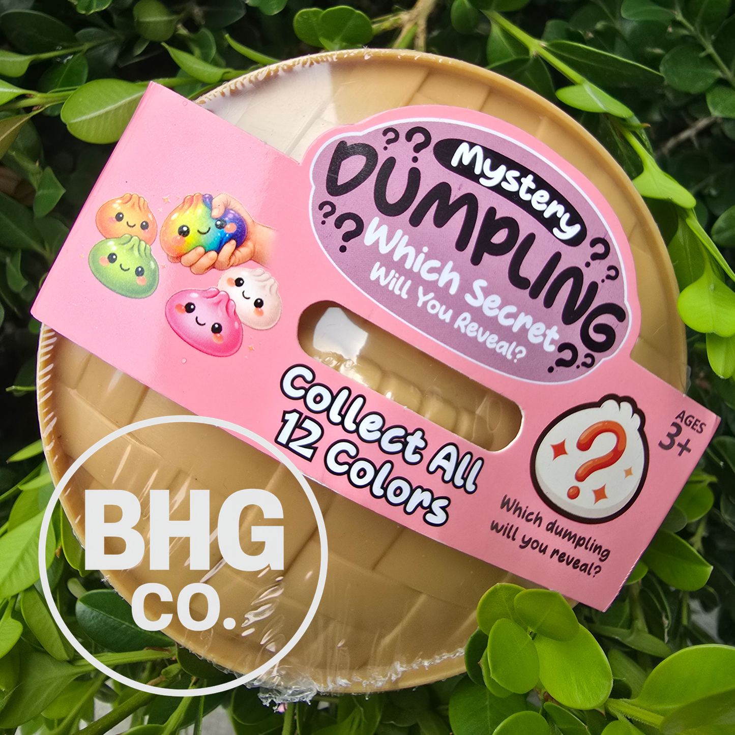 Mystery Dumpling Squishy Blind Box