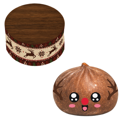 Fun Doh | Mystery Christmas Dumpling Squishy
