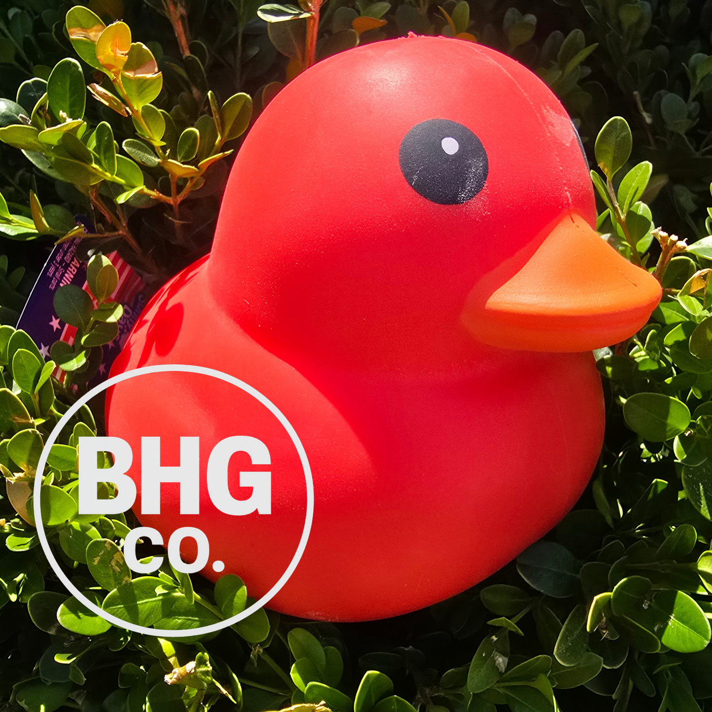 Sunny Days Squeezy Duck – Red