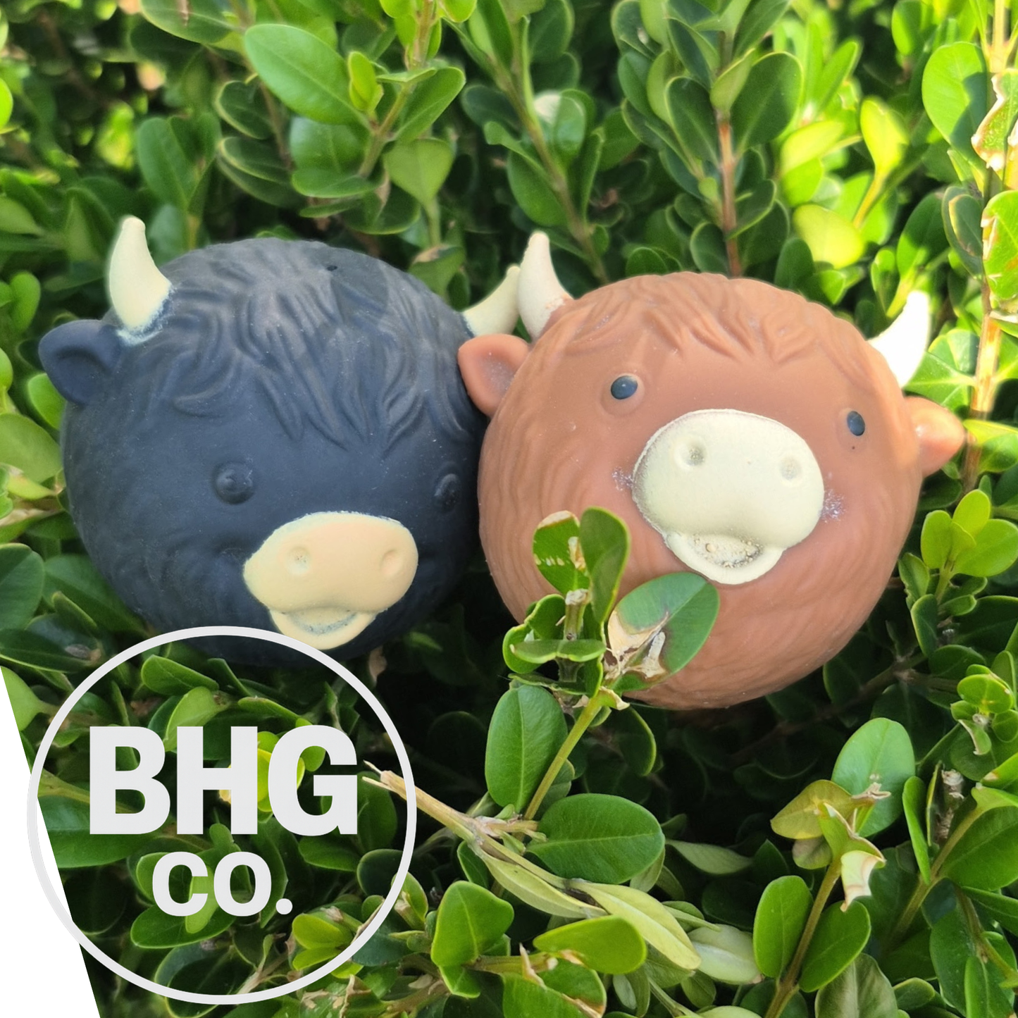 Highland Cow Air-Filled Squishy