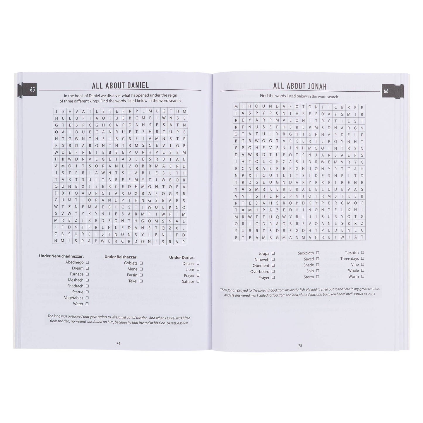Bible Word Searches – 100 Bible Puzzle Collection